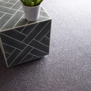 Soft carpet | Echo Flooring Gallery