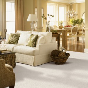 Living room carpet | Echo Flooring Gallery