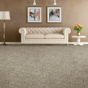 Carpet flooring | Echo Flooring Gallery