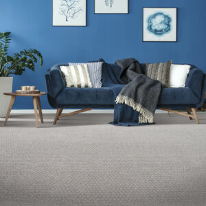 Blue Couch & Carpet flooring | Echo Flooring Gallery