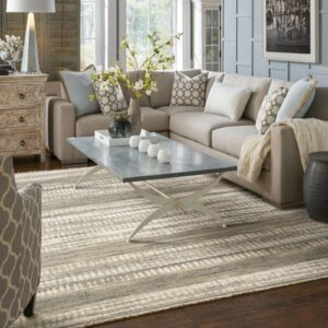 Thick Living room rug | Echo Flooring Gallery