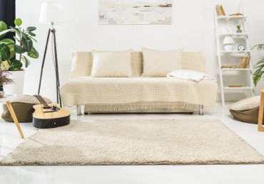 Living room rug | Echo Flooring Gallery