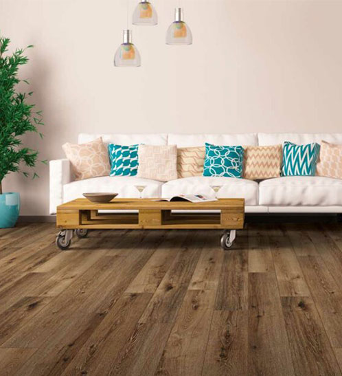 Vinyl flooring for living room | Echo Flooring Gallery