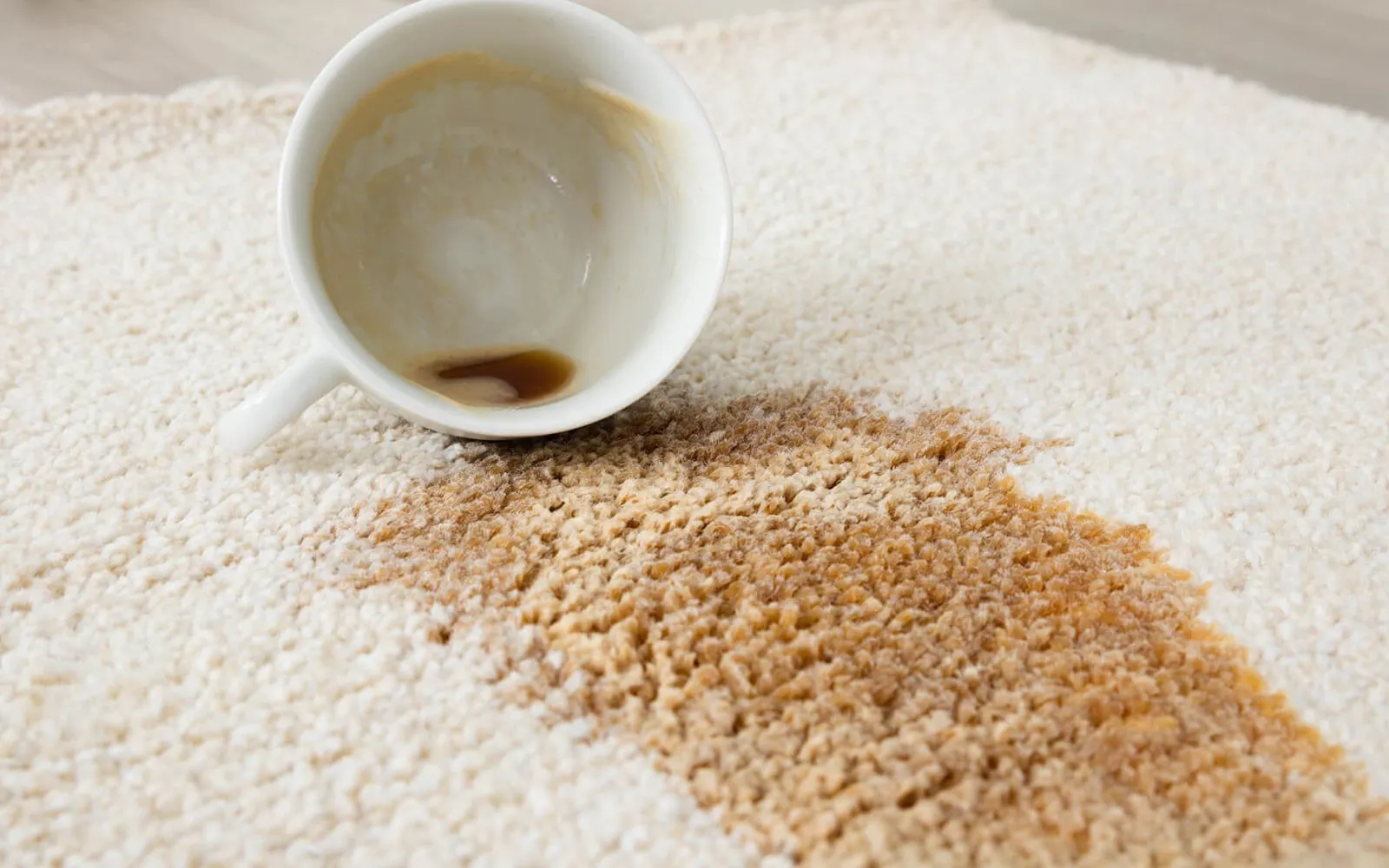 Rug care | Echo Flooring Gallery