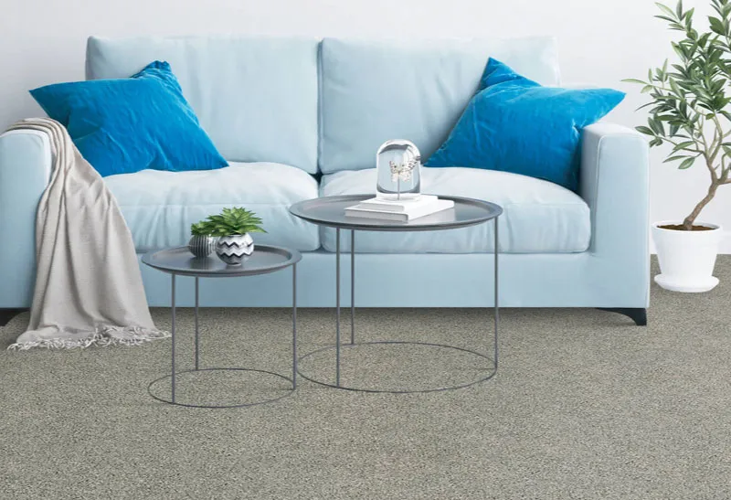 Ice blue sofa on carpet | Echo Flooring Gallery